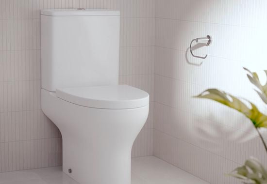 AU toilet article.png