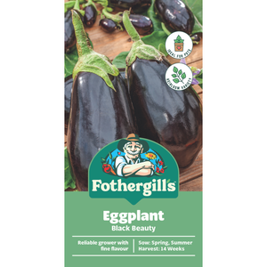 Fothergill's Black Beauty Eggplant Vegetable Seeds