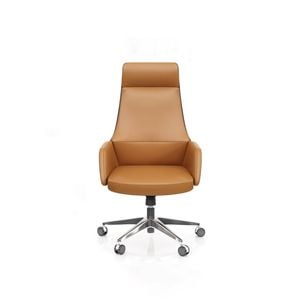 Astery Modern High Back  Office Chair Genuine Leather- Light Brown