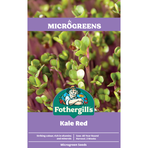 Fothergill's Kale Red Microgreen Seeds