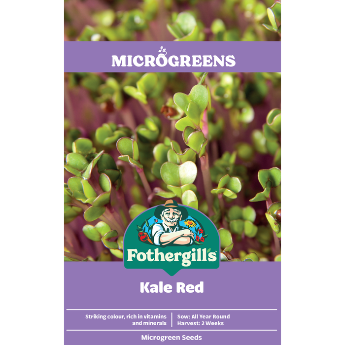Fothergill's Kale Red Microgreen Seeds