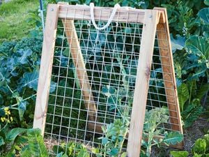 Wood and wire mesh growing frame in a vegetable garden