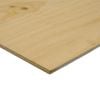 IBS Mini Panels 1200 x 600 x 7mm Untreated CD Plywood