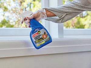 Yates Home Pest Indoor Fruit Fly Trap - 2 Pack