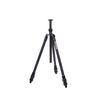 3 Legged Thing - Pro 2.0 Charles Tripod Legs Only - Darkness