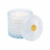 Soi Co The Shimmer Candle 15oz - Lotus Blossom Acai