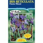 Fiesta Flower Bulbs Iris Reticulata Mixed - 10 Bulbs
