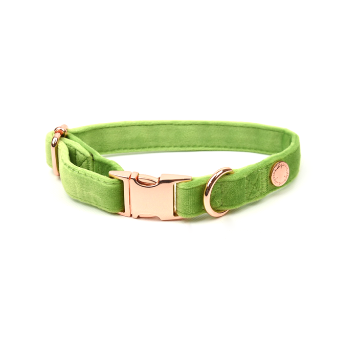 Holly & Co Granny Smith Green Large Green Premium Velvet Dog Collar