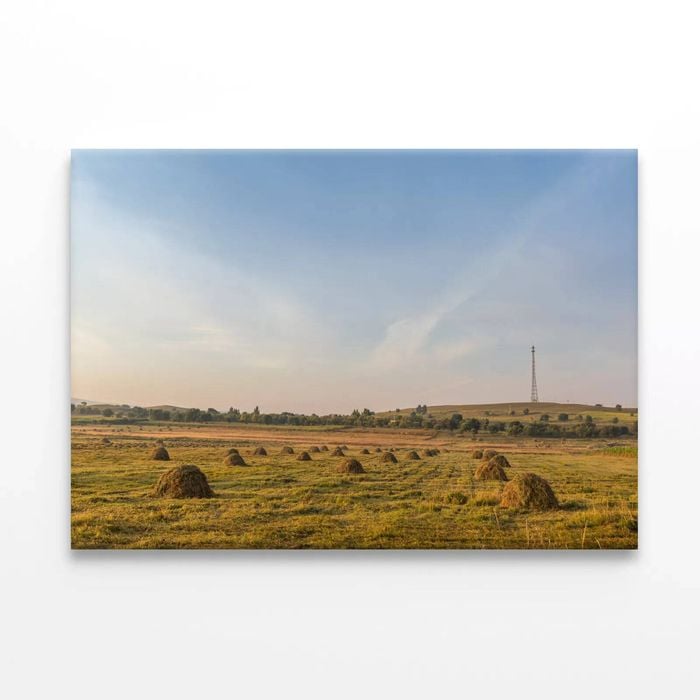 Autumn Grassland in China  Print 100% Australian Made 120 x 90cm  (Stretched)