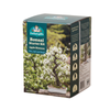 Fothergill's Apple Blossom Bonsai Kit