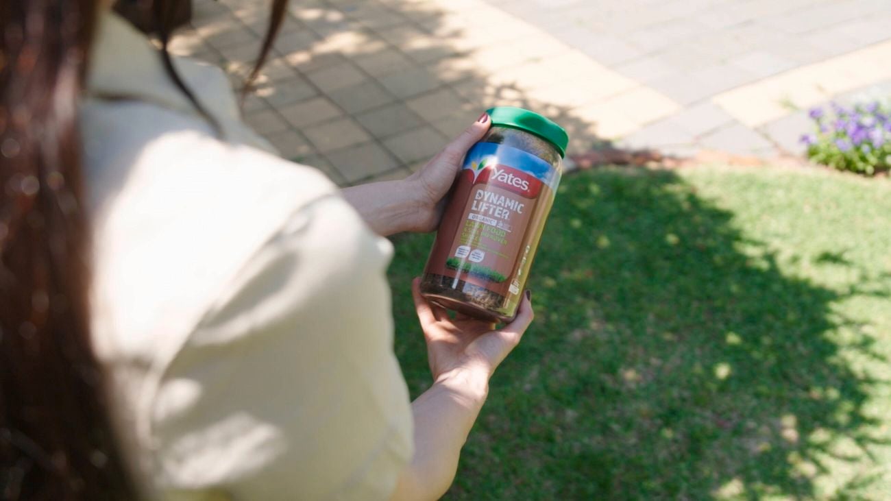 Person standing in a garden holding Yates Lawn Shaker