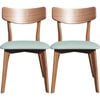 Oxley Dining Chair Set of 2 - Mint and Walnut