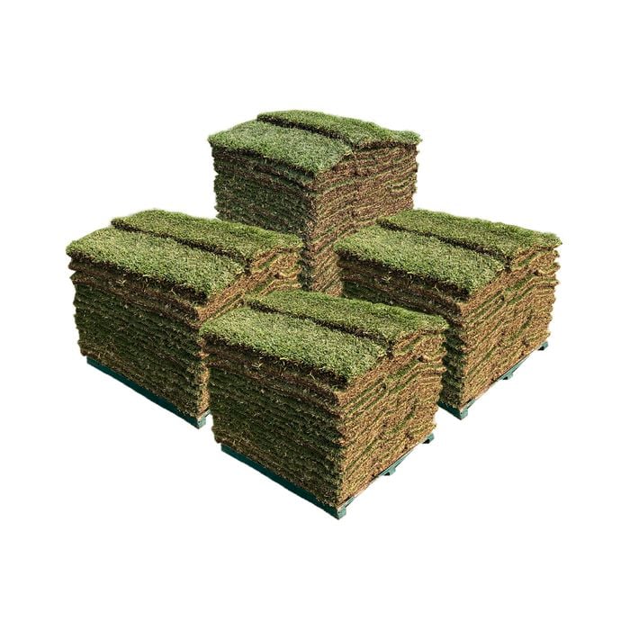 Sir Walter DNA Certified Buffalo 170m² Soft Leaf Buffalo Turf - Pallet