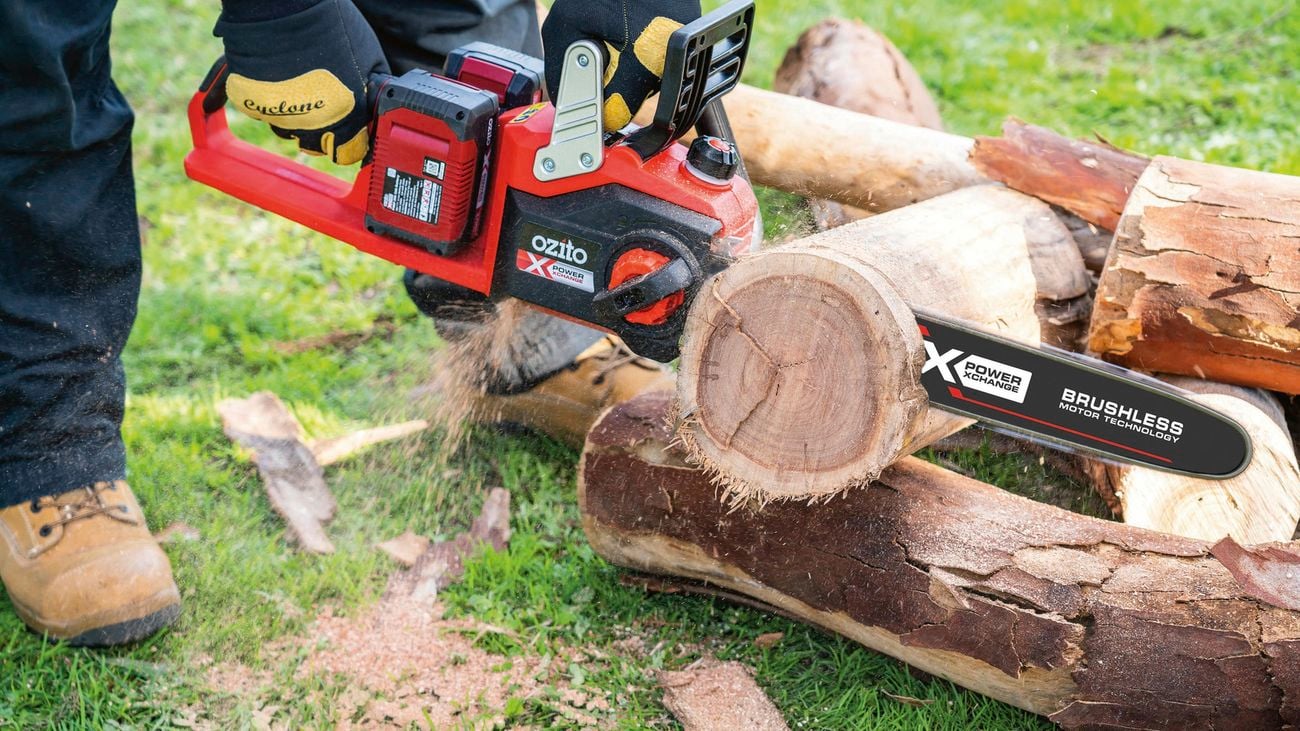 Brushless chainsaw cutting through wood of tree.