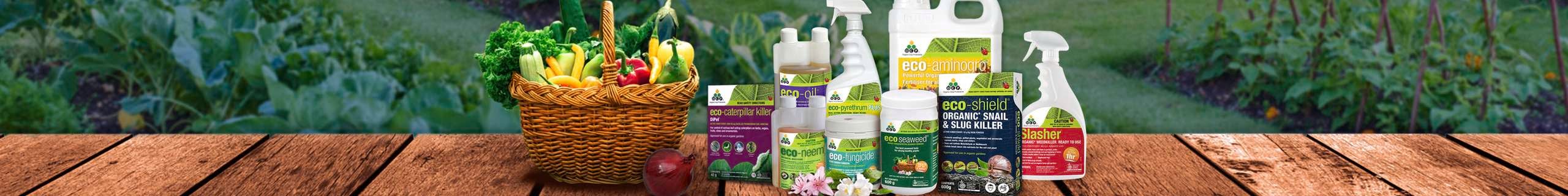 OCP header image of a range of products