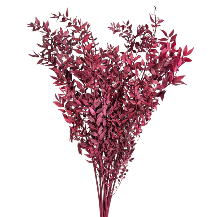 Blooms of Joy 60cm Burgundy Ruscus 10 Pack