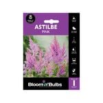 Bloomin' Bulbs Pink Astilbe - 1 Pack