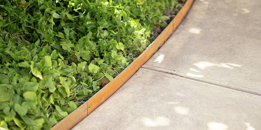Garden with concrete pathways and young plants separated by garden edging.