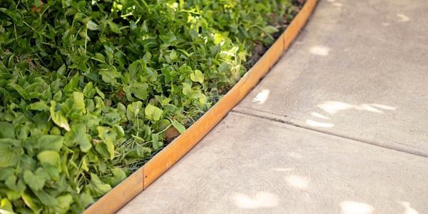 Garden with concrete pathways and young plants separated by garden edging.
