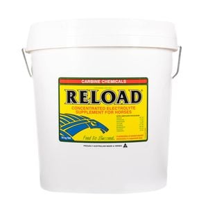 Carbine Reload Oral Electrolye Reinforcement Supplement Horse 16kg