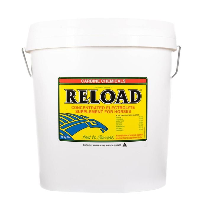 Carbine Reload Oral Electrolye Reinforcement Supplement Horse 16kg