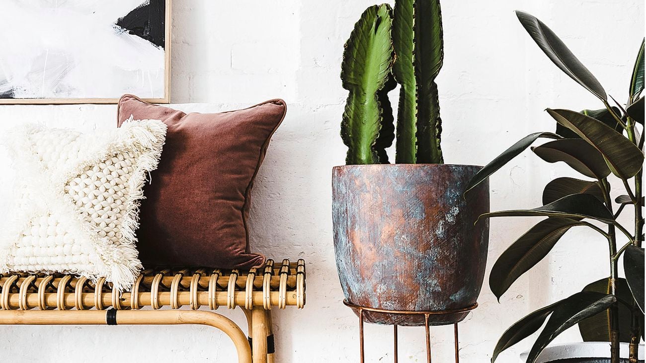 Woven bench, cactus in standing pot.