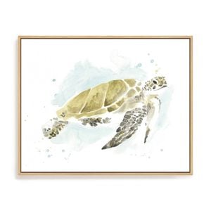 Artey | Watercolor Sea Turtle Study I - Framed Canvas - Natural Frame - 40 x 50cm