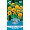 Mr Fothergill's Sunflower Teddy Bear Seeds
