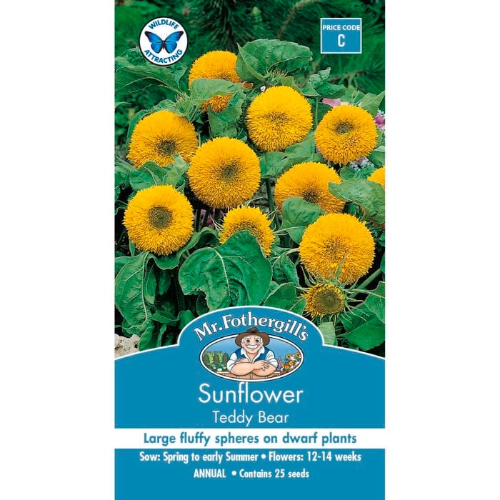 Mr Fothergill's Sunflower Teddy Bear Seeds