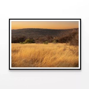 Grassland Glows in the Morning  Print 100% Australian Made 120x90cm  (Poster)