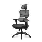 Eureka OC12 Ergonomic Home/Office Chair-BLACK