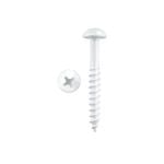 Pinnacle 4.0 x 30mm White Round Head Timber Screw - 20 Pack