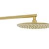 Greens Australia Scandi Wall Shower Brushed Brass