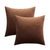 Catzon 2 Pcs Square Throw Pillow Covers Solid Soft Velvet for Spring Sofa-Dark Coffee
