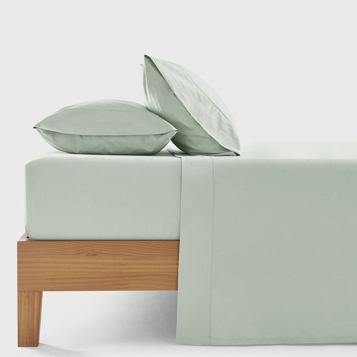 Dreamaker 300TC Cotton Percale Sheet Set Sage King Single Bed
