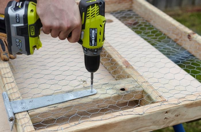 A hinge being screwed into place on a wooden frame as part of a chicken coop hatch