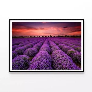 Flowers under a Sky with Clouds  Print 100% Australian Made 90x60cm  (Poster)