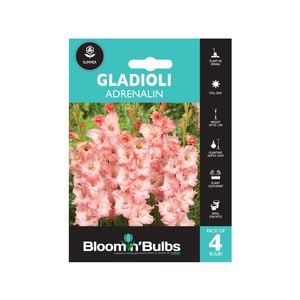 Bloomin Bulbs Gladioli Adrenalin - 4 Pack