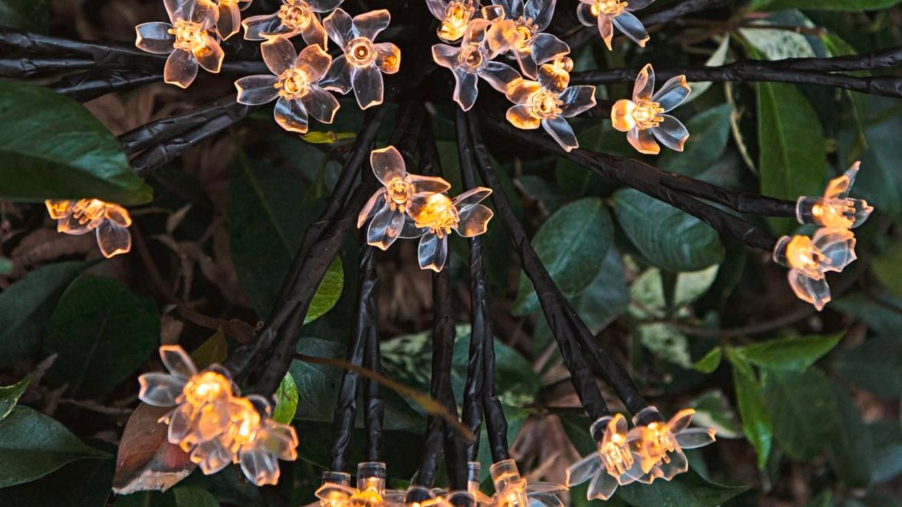 Stake lights in the shape of flowers.