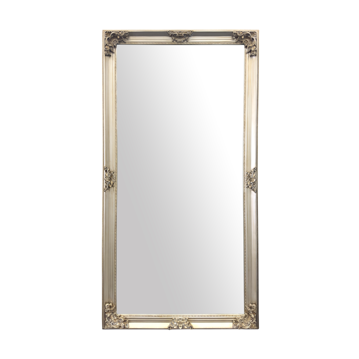 Elegant Collections Antique Champagne French Provincial Mirror X-Large