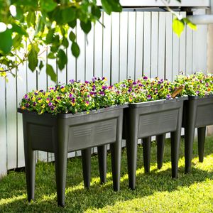3 raised garden beds in a backyard with plants planted in them