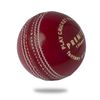 Cricnix Cricket Ball Premier Red Leather (1-Pack) 156g for Seniors Match