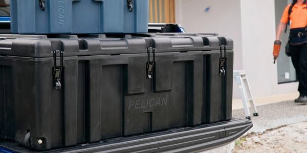 Pelican side by side image