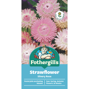 Fothergill's Strawflower Silvery Rose Seeds