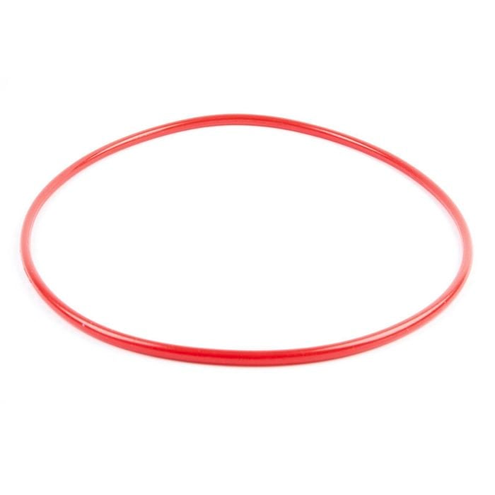 AQUAPRO Series II Replacement Pressure Filter Lid O Ring - To Suit AP5000UV