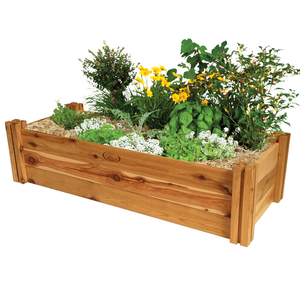 Raised Garden Beds