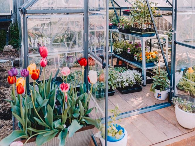 Balance Greenhouse (I/N: 0134902)