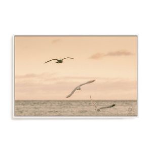 Artey | Sunset Flocks - Framed Canvas - White Frame - 60 x 90cm
