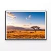 Sunset with Mountains  Print 100% Australian Made 90x60cm  (Poster)