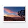 Tree Standing On a Hill & Sky  Print 100% Australian Made 120x90cm  (Poster)